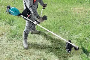 Lawn Mowing Maintenance Edging Landscaping Hedges Trimming