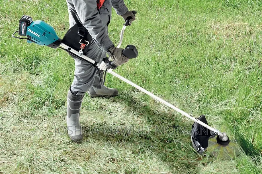 Lawn Mowing Maintenance Edging Landscaping Hedges Trimming