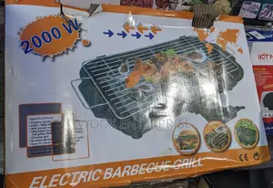 Electric Barbecue Grill