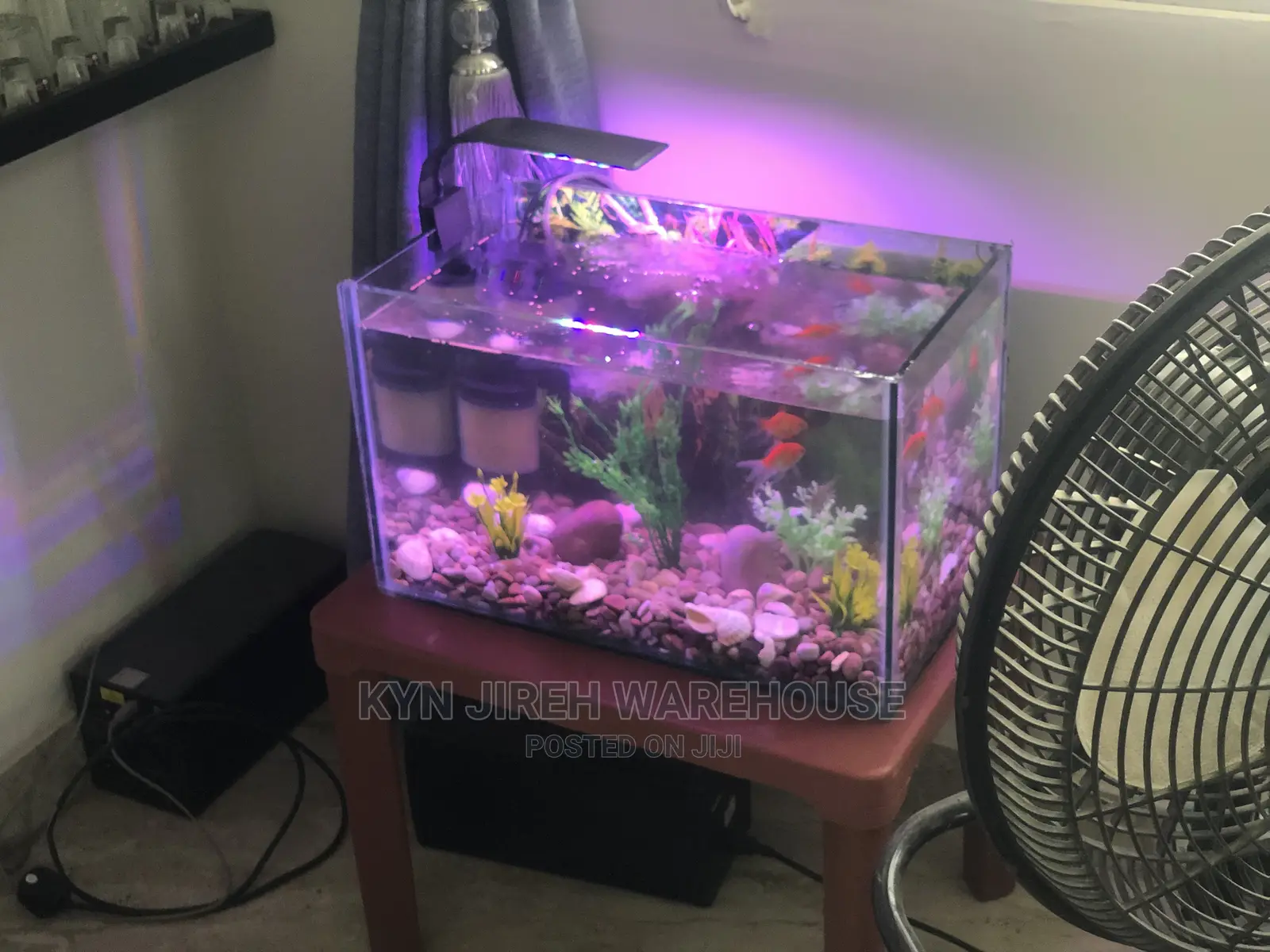Tabletop Aquarium Setup With 5 Fishes