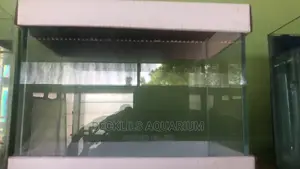 Open Table Top Aquariums Available