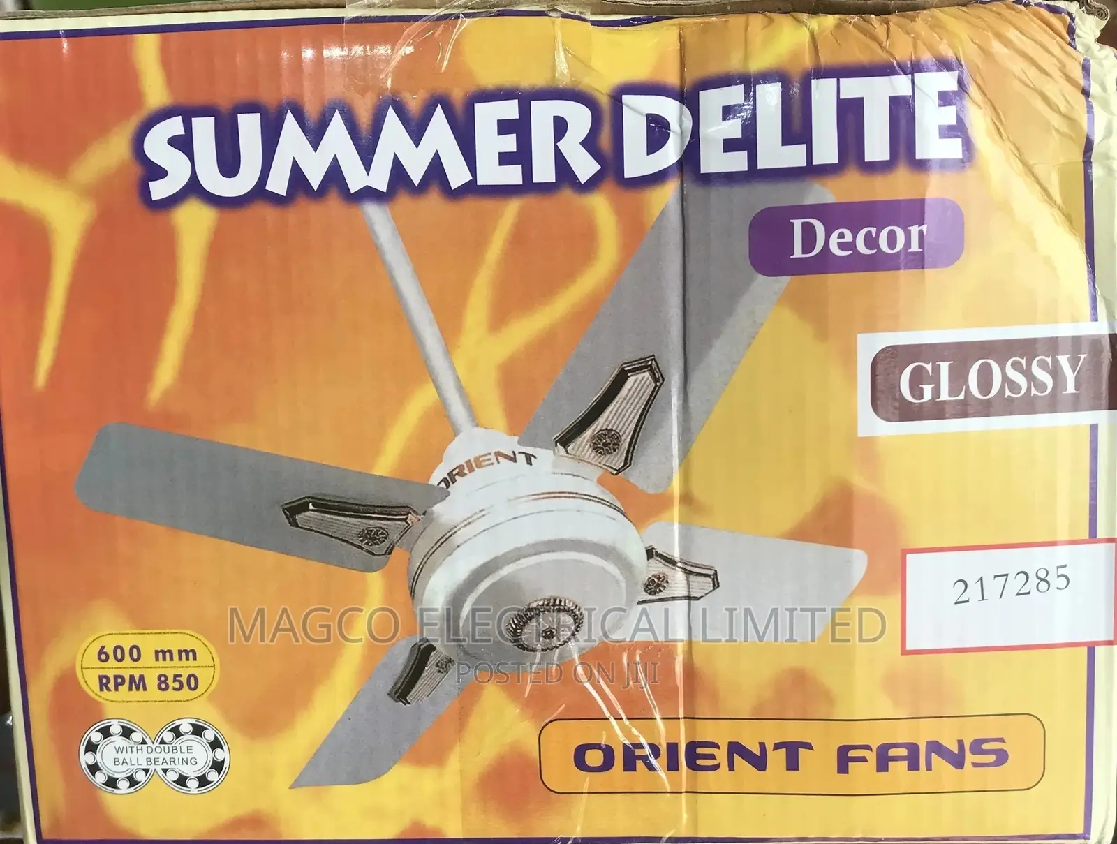 Vemac Ceiling Fan Shot