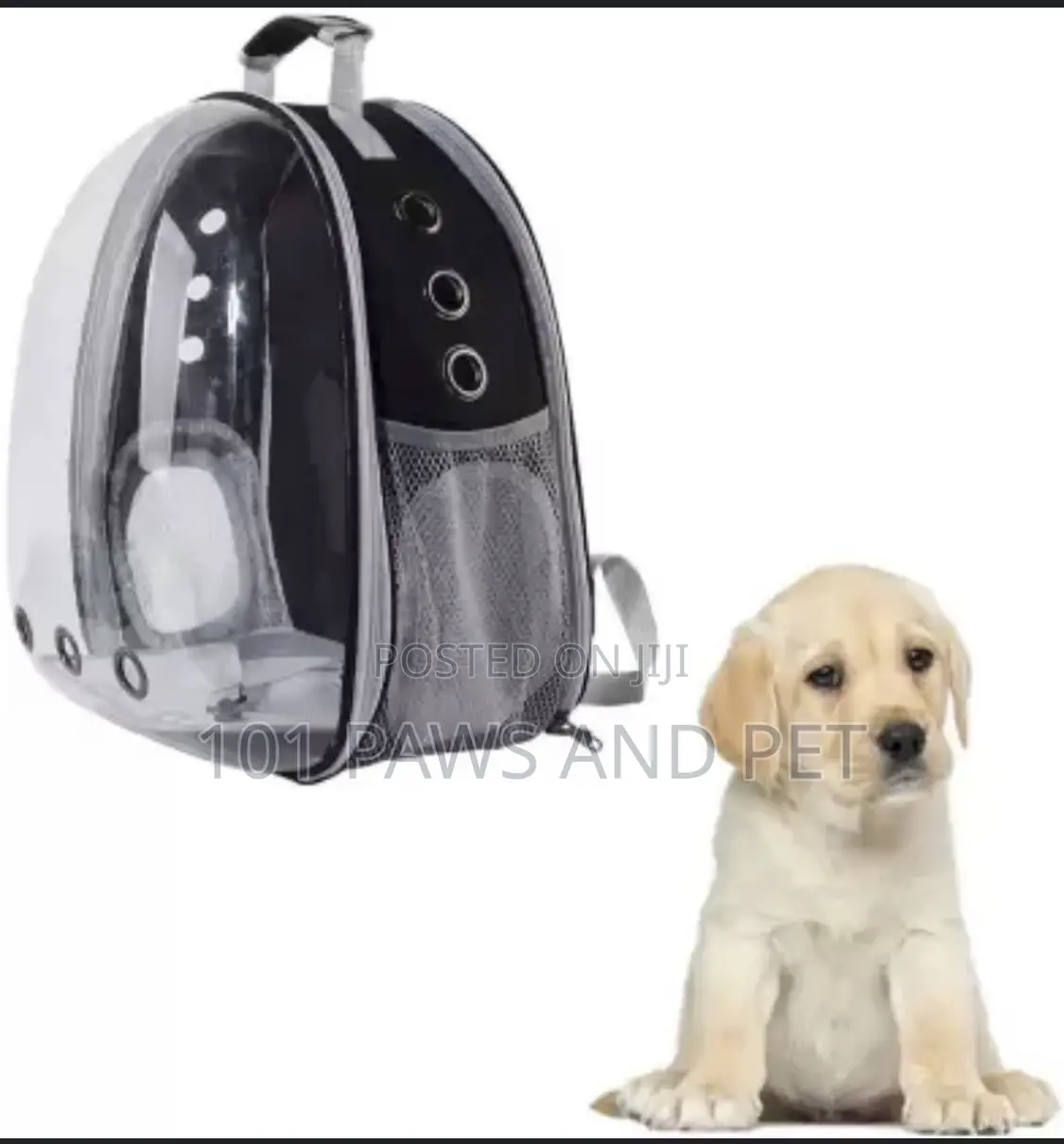 Pet Backpack Carrier