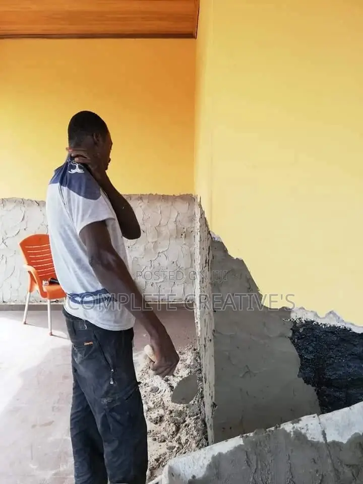 Wall Treatment and Dampness Solutions Specialist.