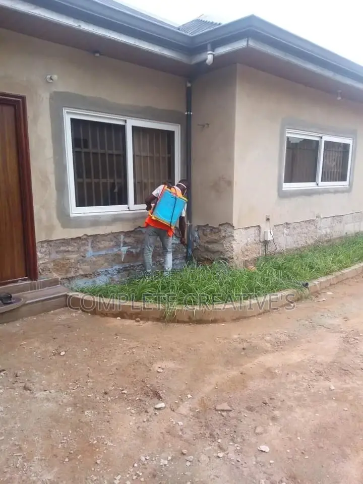 Wall Treatment and Dampness Solutions Specialist.
