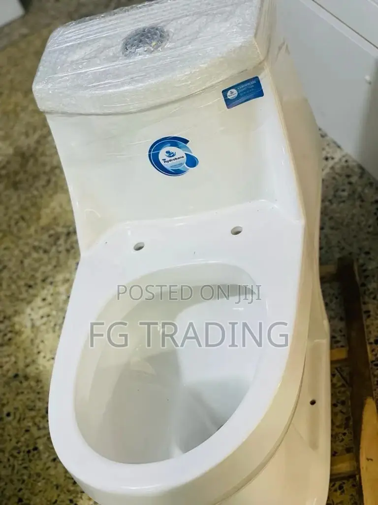 Egg Water Closet - Toilet Seat - Small Tank WC