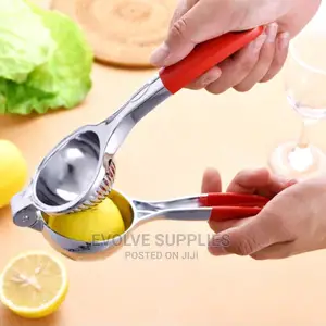 Citrus Press or Lemon Squeezer