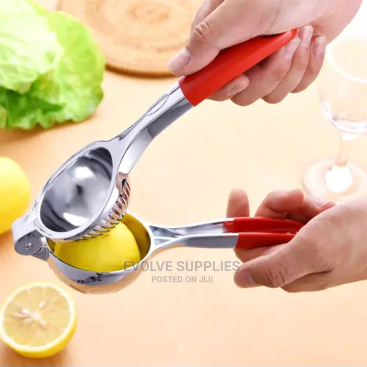 Citrus Press or Lemon Squeezer