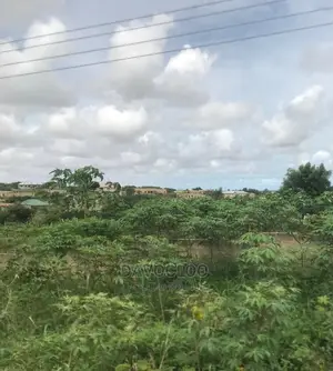 Within Kasoa Ojobi Main Road
