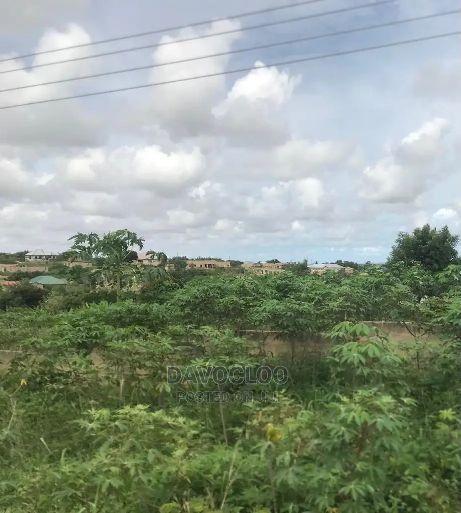 Within Kasoa Ojobi Main Road
