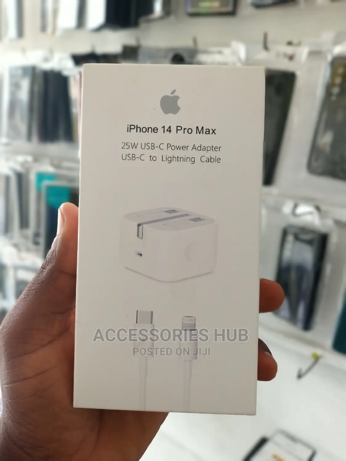 iPhone Original Charger