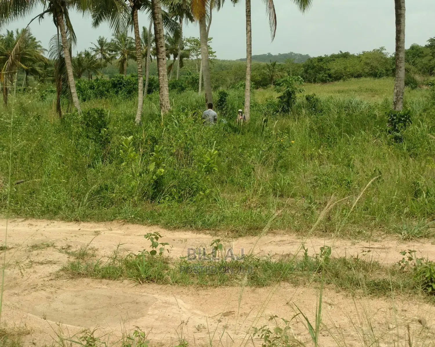 One Plot for Sale at Amasaman Obom