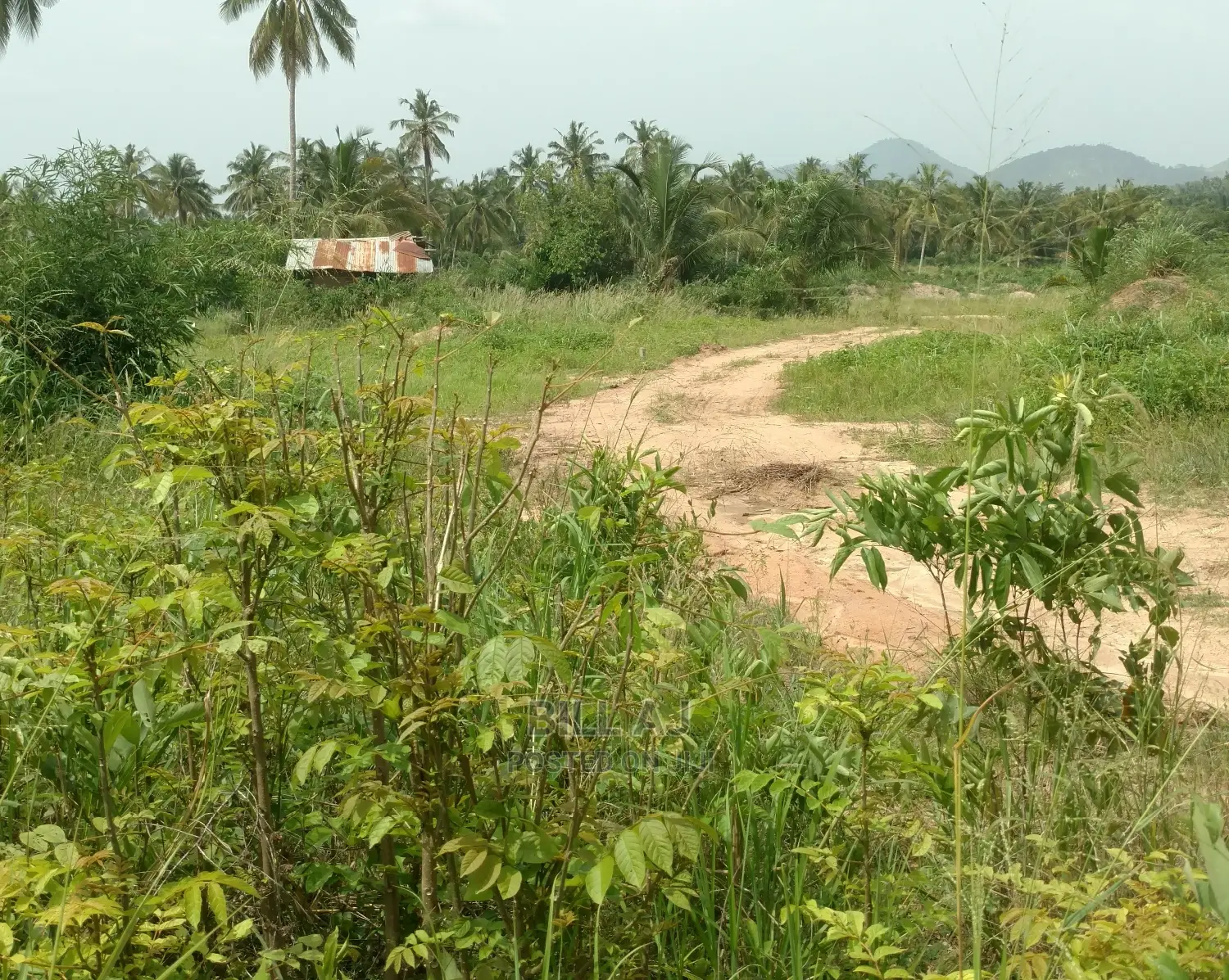 One Plot for Sale at Amasaman Obom