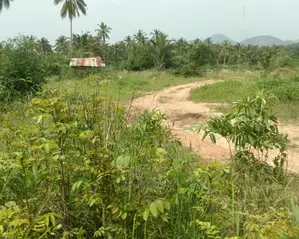 One Plot for Sale at Amasaman Obom