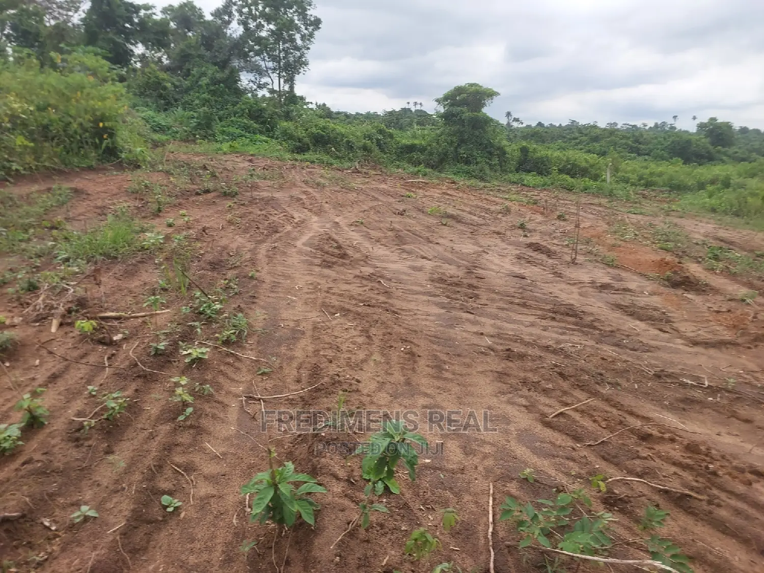 A Land at Bonwire for Sale