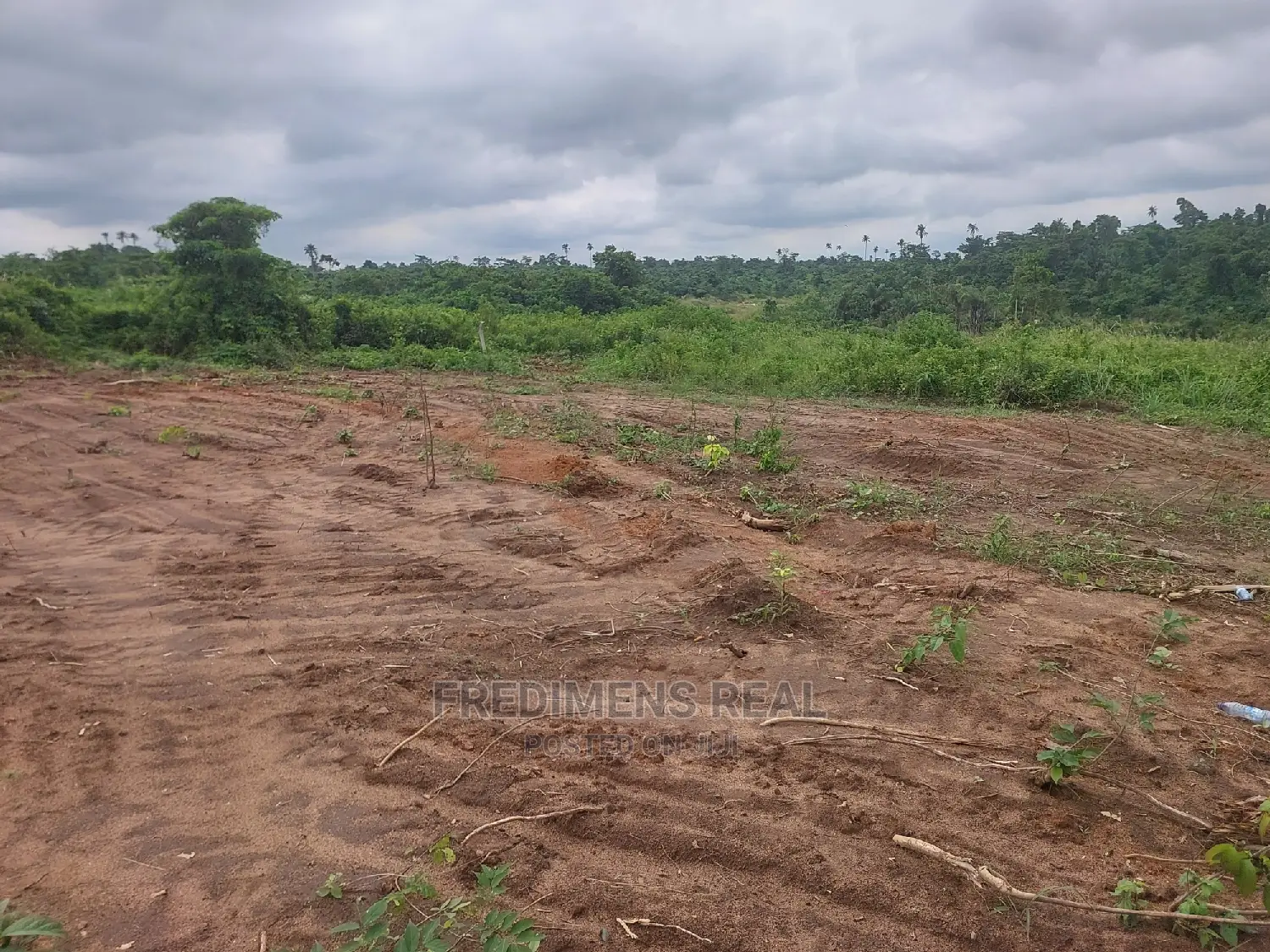 A Land at Bonwire for Sale