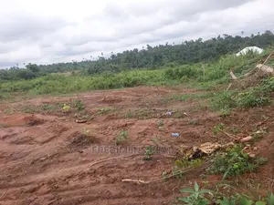 A Land at Bonwire for Sale