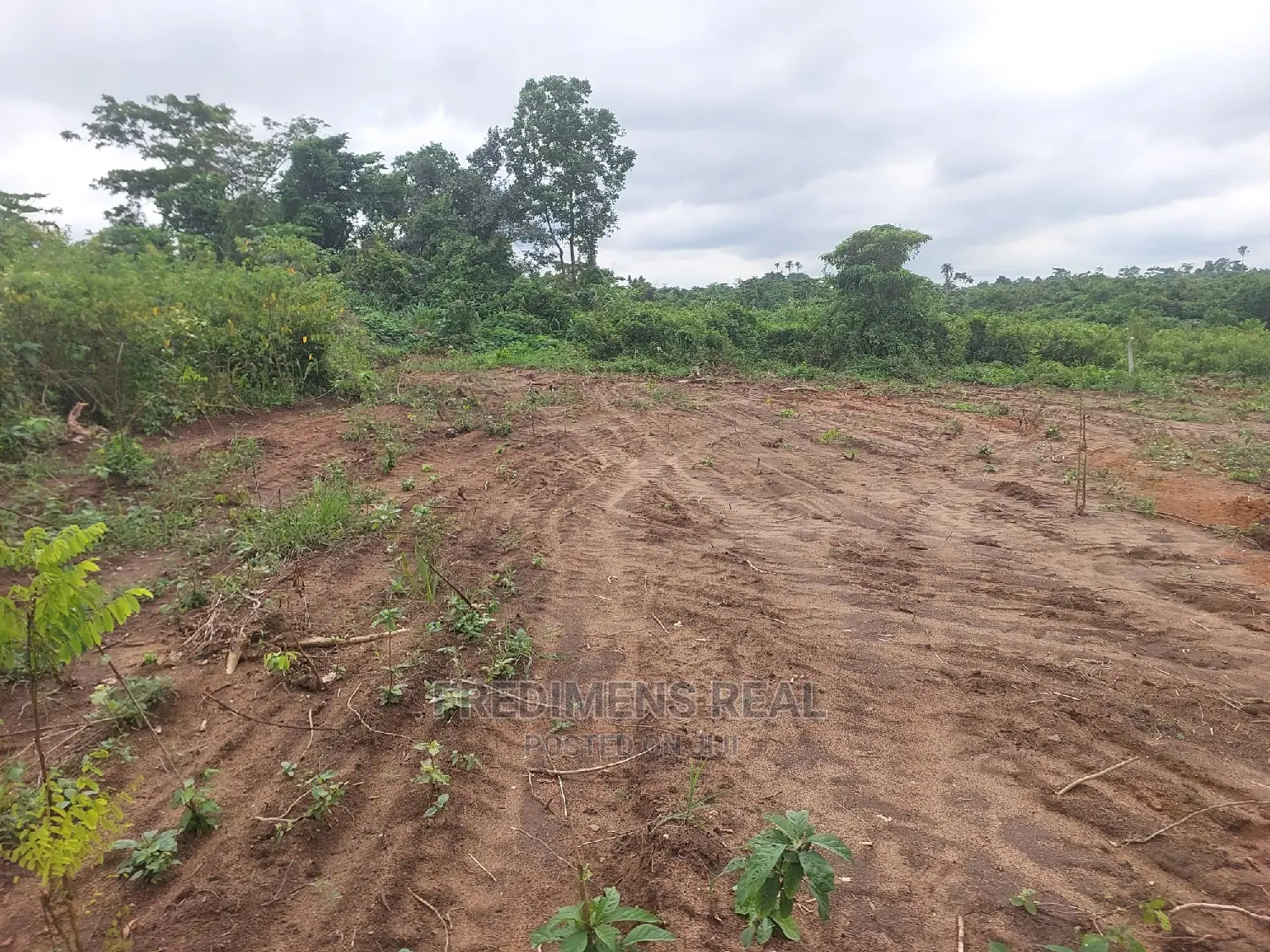 A Land at Bonwire for Sale