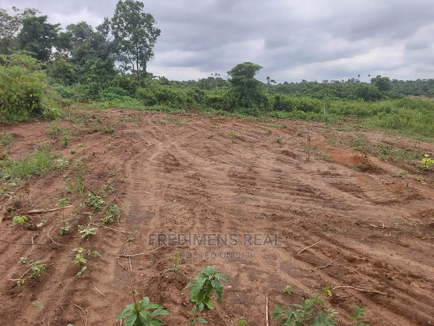 A Land at Bonwire for Sale