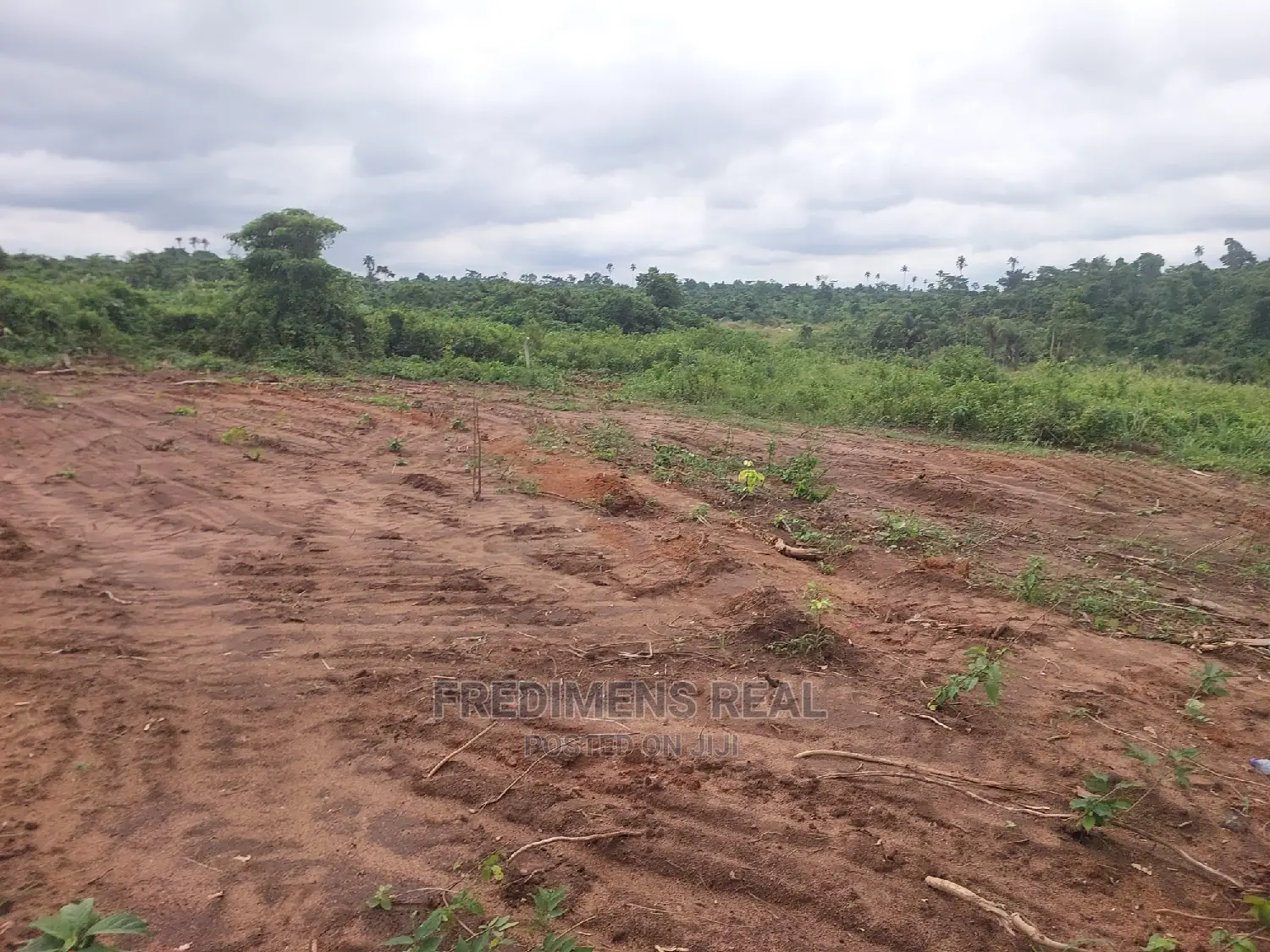 A Land at Bonwire for Sale