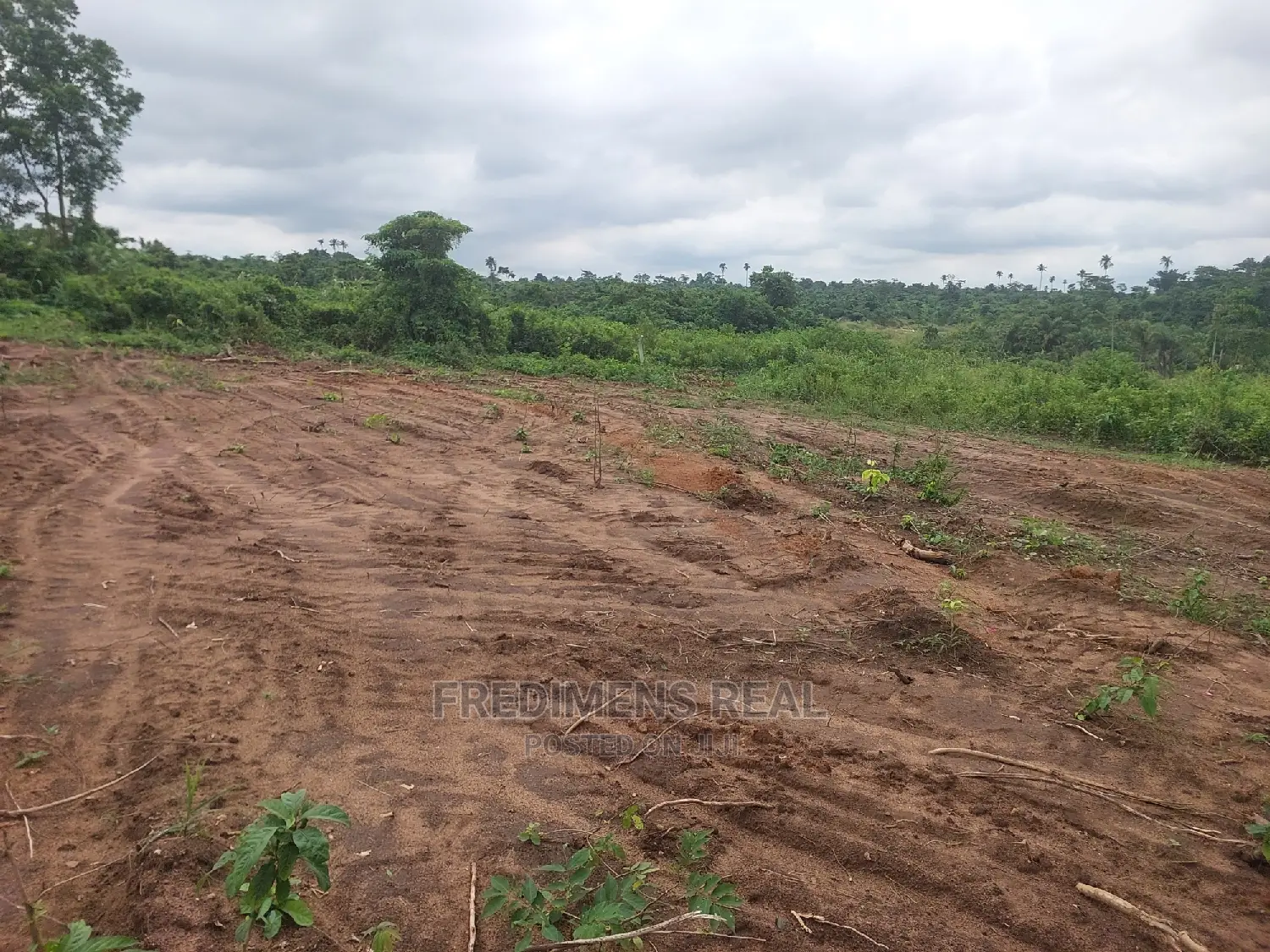 A Land at Bonwire for Sale