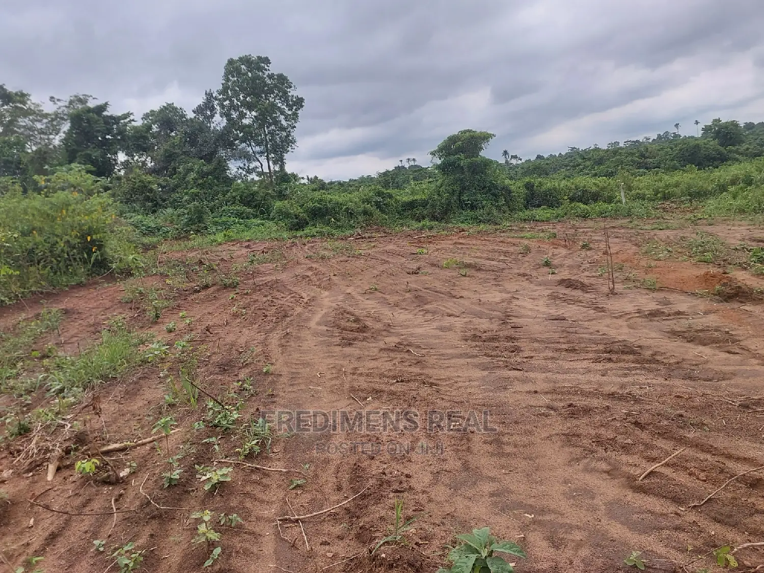 A Land at Bonwire for Sale