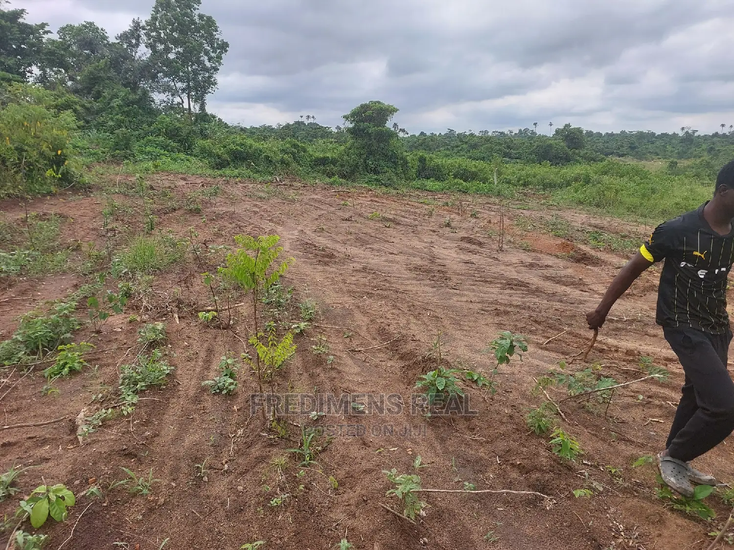 A Land at Bonwire for Sale