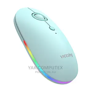 PROFESSIONAL Top Quality Wireless Mouse Rechargeable USB-C