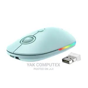 PROFESSIONAL Top Quality Wireless Mouse Rechargeable USB-C