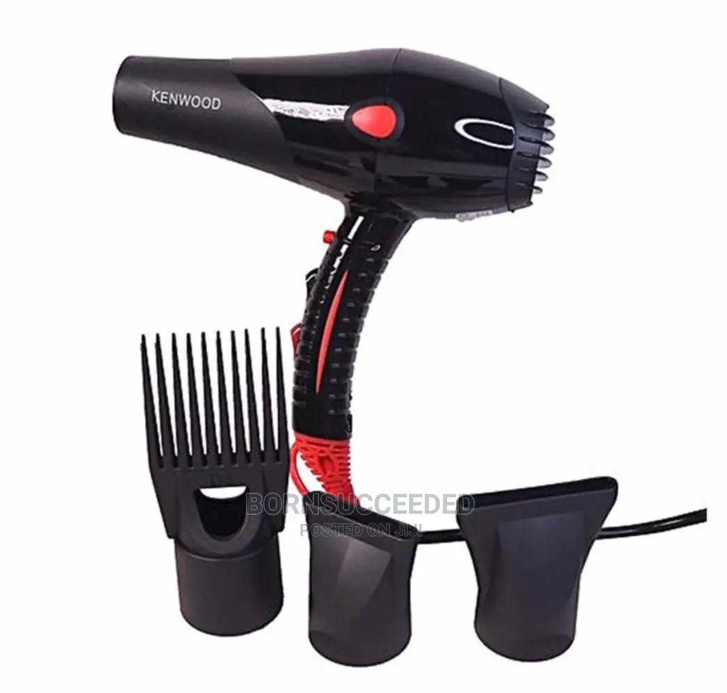 Professional Hair Dryer