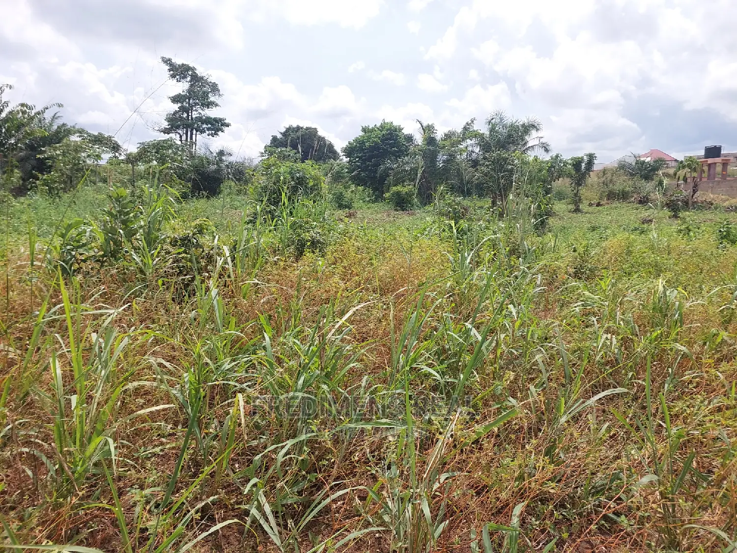 A Land at Ejisu-Krapa for Sale