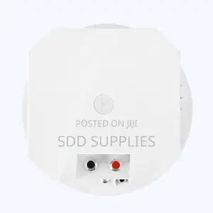 200 Watts Hifi Executive Ceiling Speaker With Back Cover