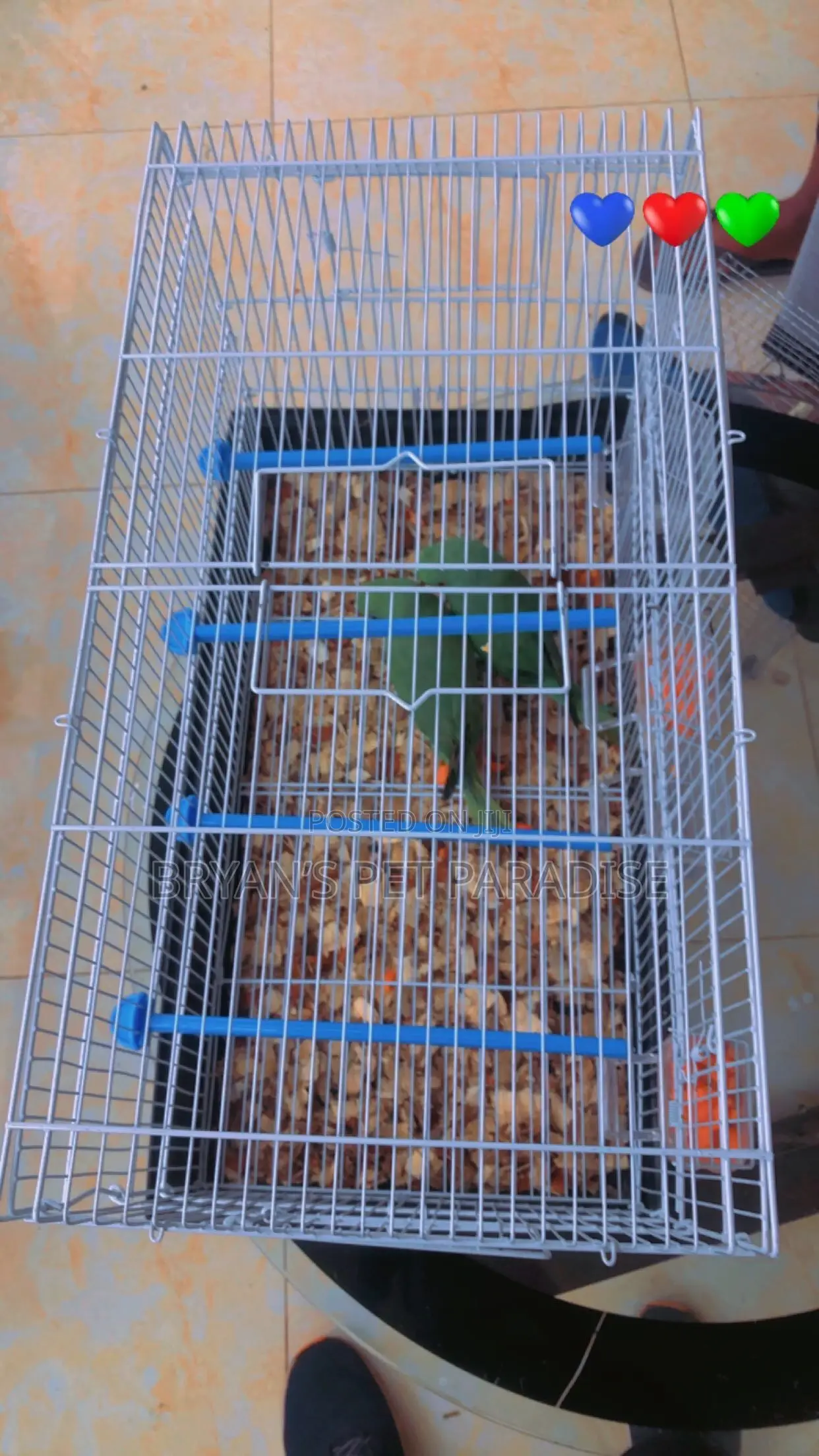 2 in 1 Parrot Cages