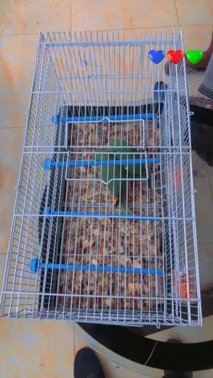 2 in 1 Parrot Cages