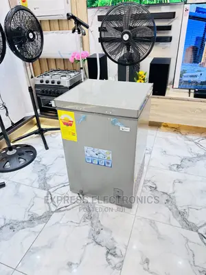 Long Lasting Durability Pearl Chest Freezer 100L Grey