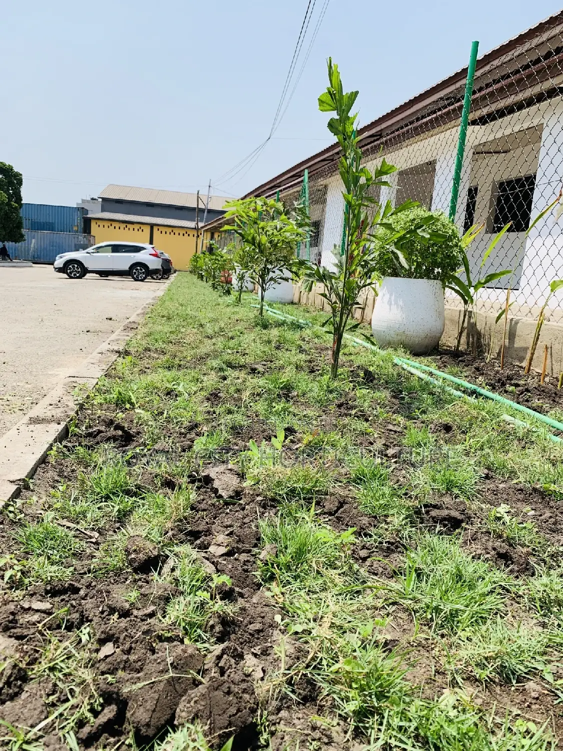 Landscaping, Flowering,Lawns Maintenance,Pruning Andplanting