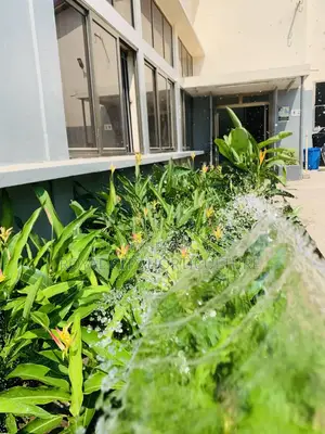 Landscaping, Flowering,Lawns Maintenance,Pruning Andplanting