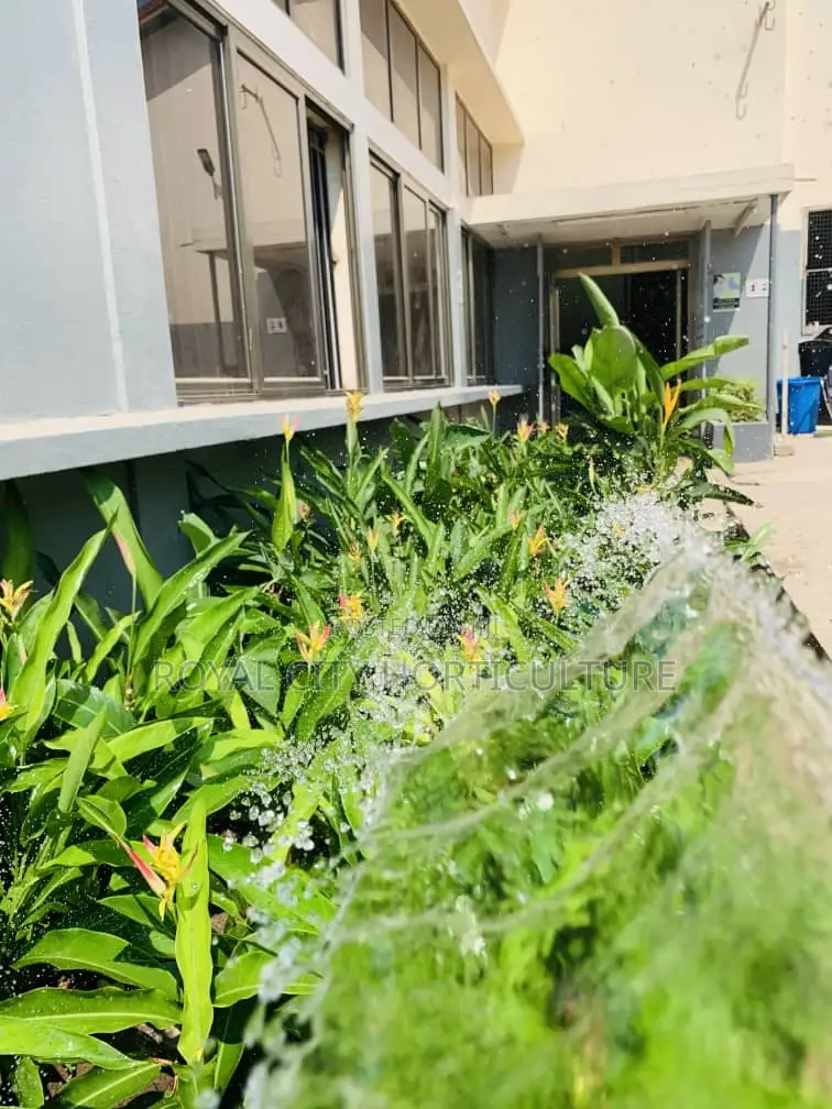 Landscaping, Flowering,Lawns Maintenance,Pruning Andplanting