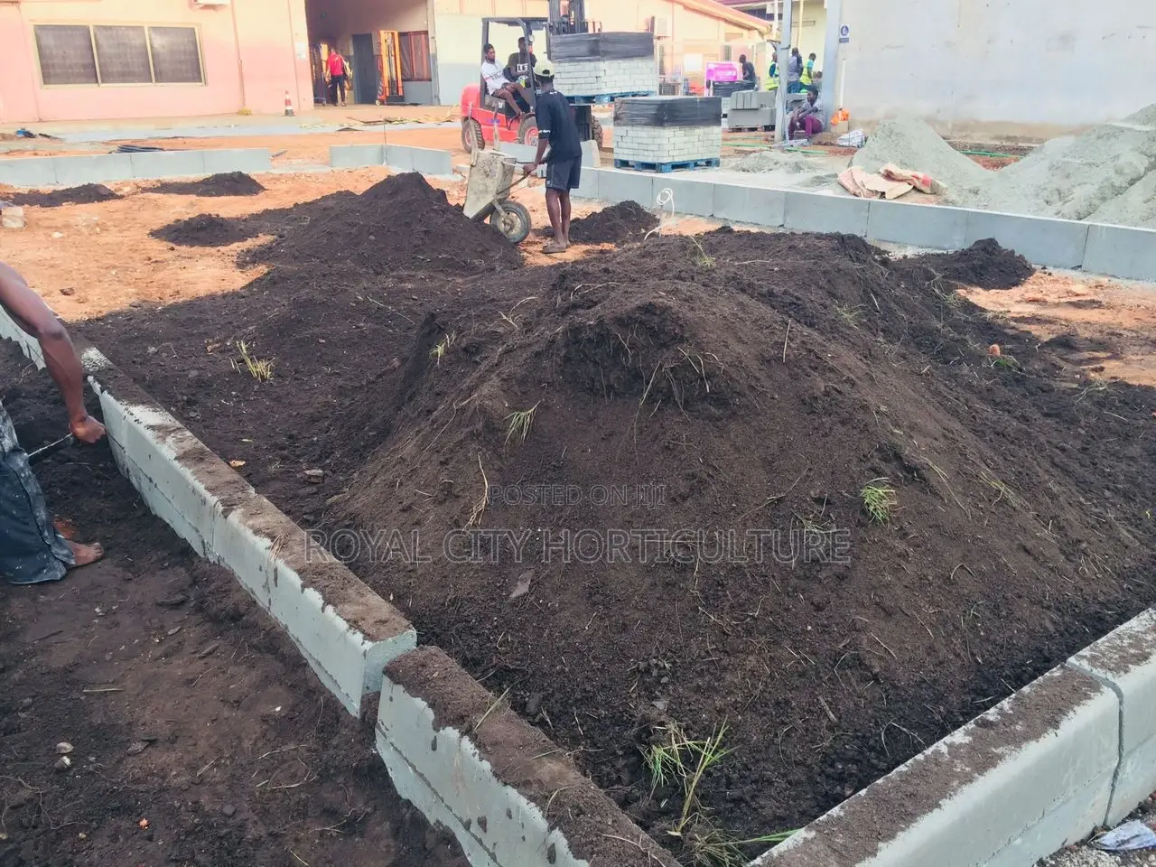 Landscaping, Flowering,Lawns Maintenance,Pruning Andplanting
