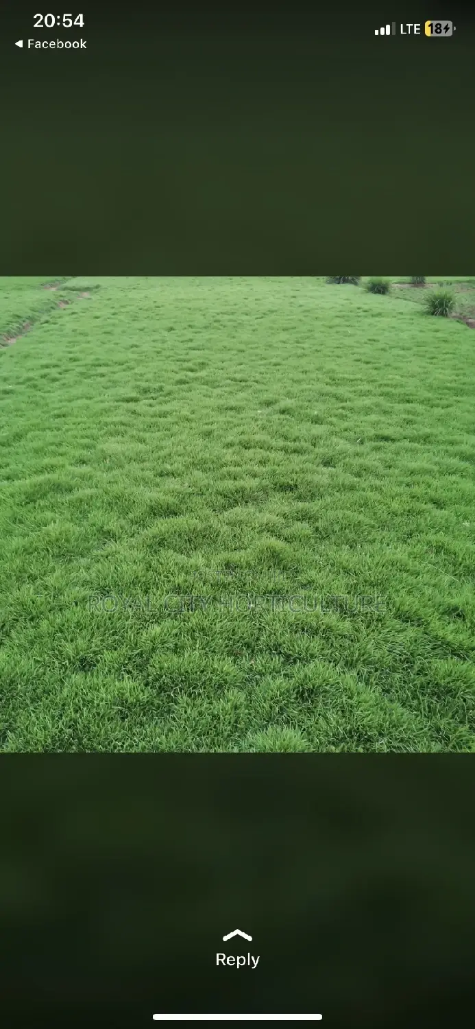 Landscaping, Flowering,Lawns Maintenance,Pruning Andplanting