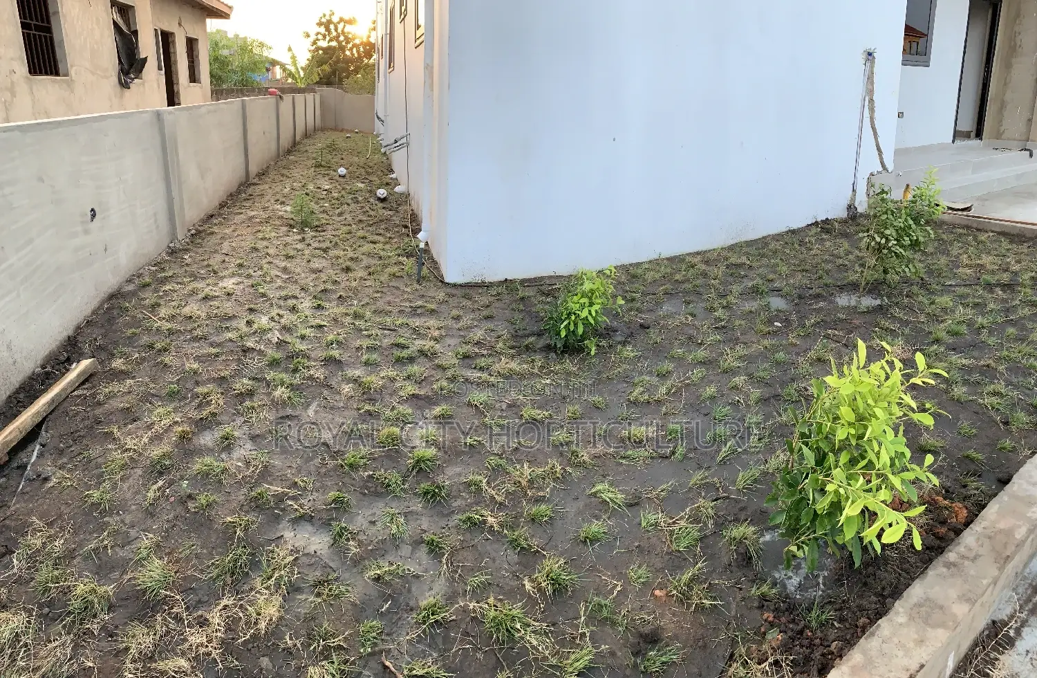 Landscaping, Flowering,Lawns Maintenance,Pruning Andplanting