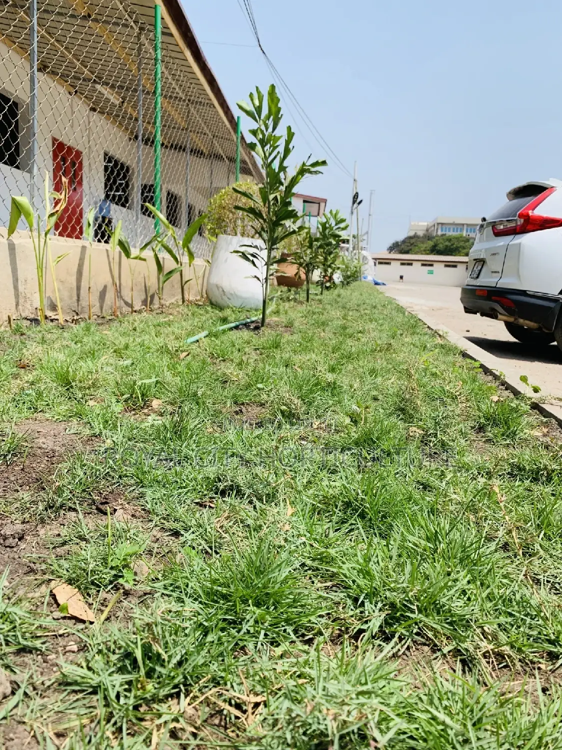 Landscaping, Flowering,Lawns Maintenance,Pruning Andplanting