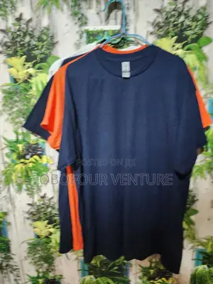 Quality Unisex Plain T-Shirt From USA 
