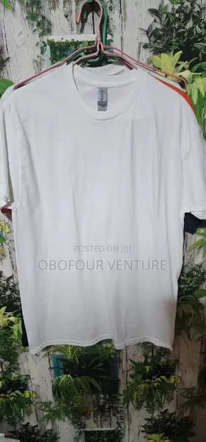 Plain White T-Shirts From the USA 