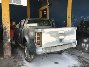 Professional Spraying