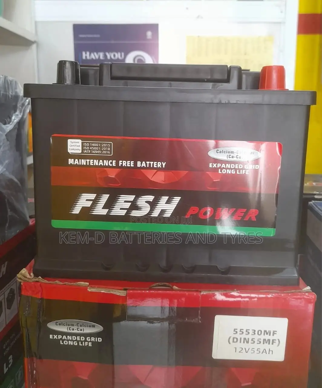Flesh Power Battery + Free Delivery