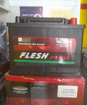 Flesh Power Battery + Free Delivery