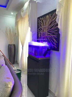 Fog Aquarium Setup With Fishes