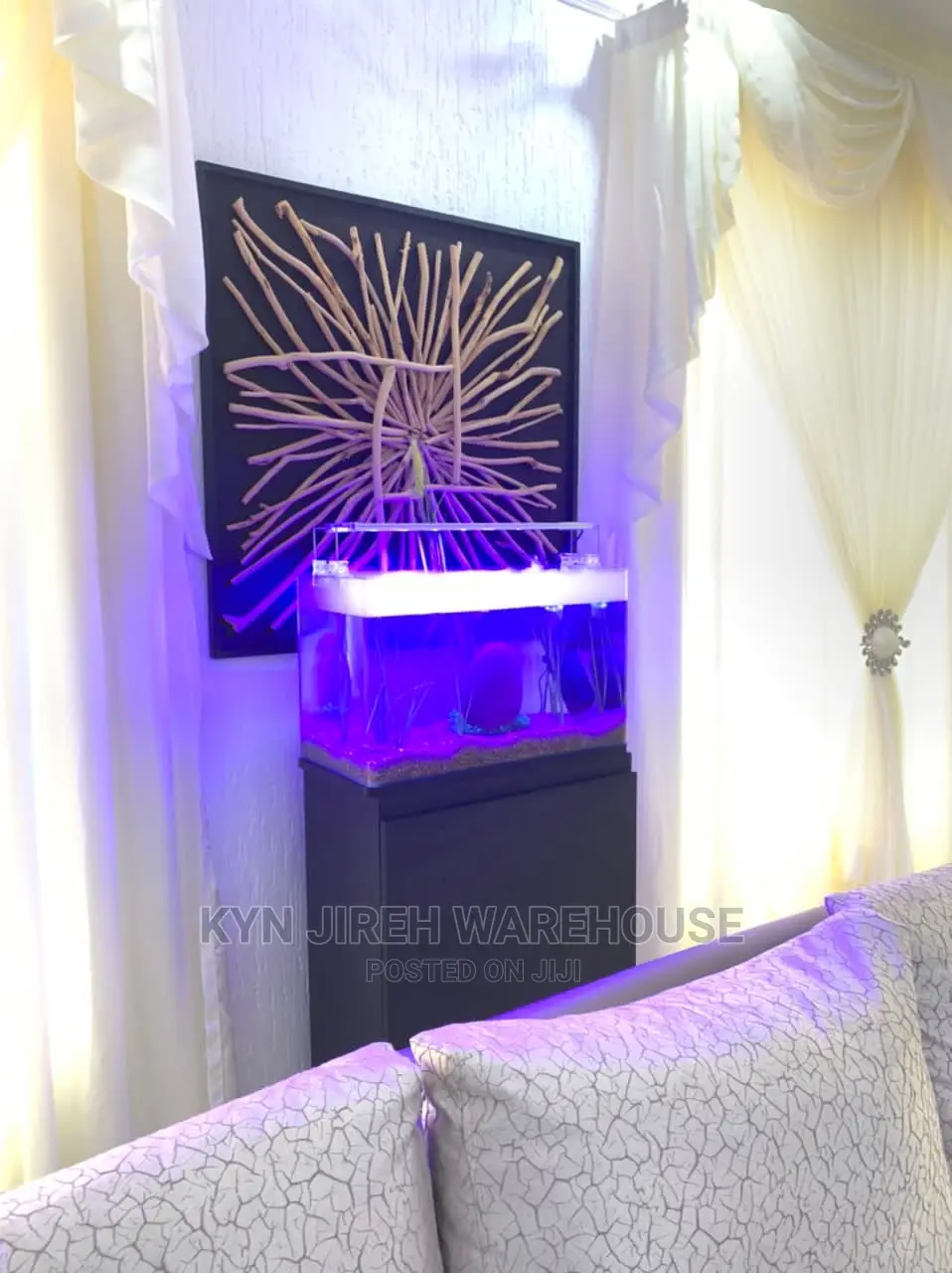 Fog Aquarium Setup With Fishes