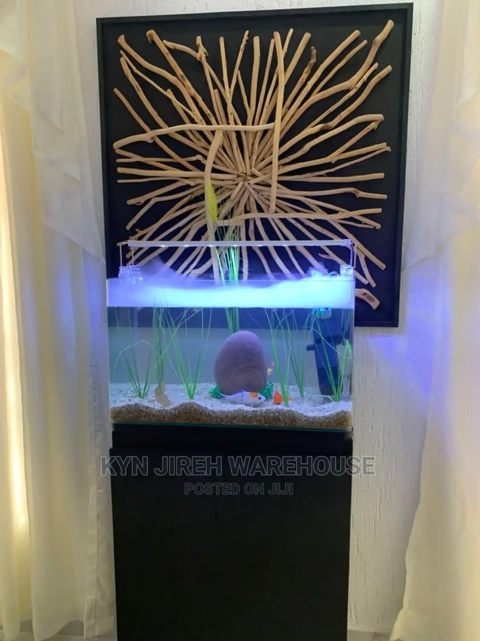 Fog Aquarium Setup With Fishes
